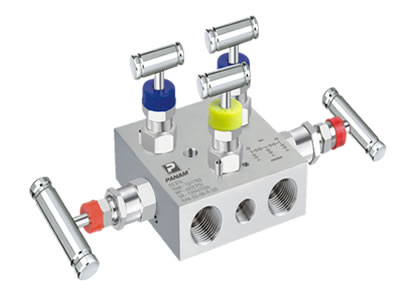 Manifolds valve